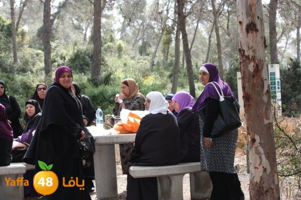 re7la7efa483 (17).JPG